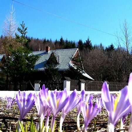 Goralska Czarcia Chata Pod Jalowcem Stryszawa 外观 照片